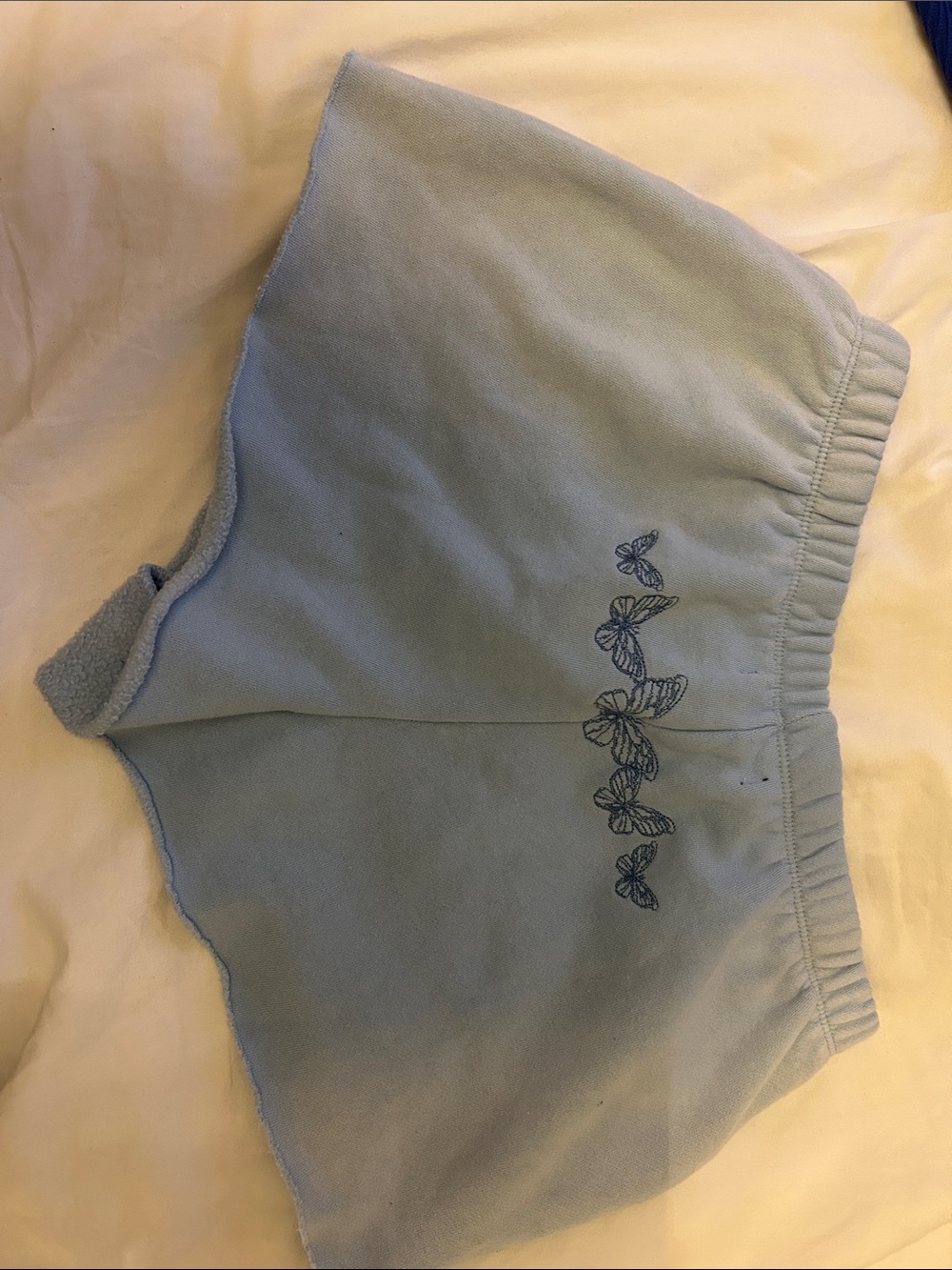PacSun Light Blue Butterfly Embroidered Women’s Shorts